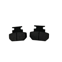 Тормозные колодки для электроскутера Citycoco Mini (задние)