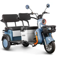 Электротрицикл Rutrike Gelbert Beta 48V/60V 800Вт Сине-белый